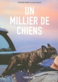 UN MILLIER DE CHIENS 