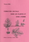 FORMATION SPATIALE DANS LES PLANTES ET DANS L' HOMME, essai bas sur un texte de Rudolf Steiner